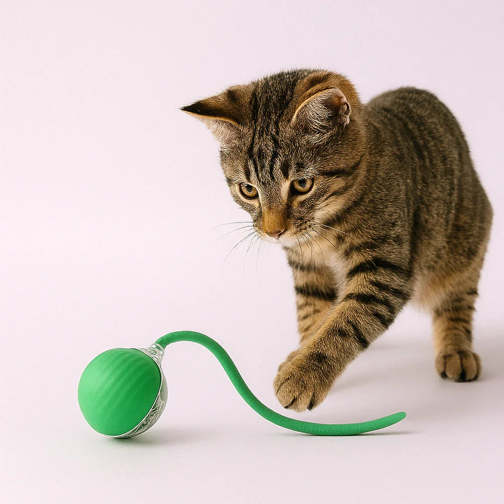 LumiBall™ – La balle lumineuse qui amuse votre chat