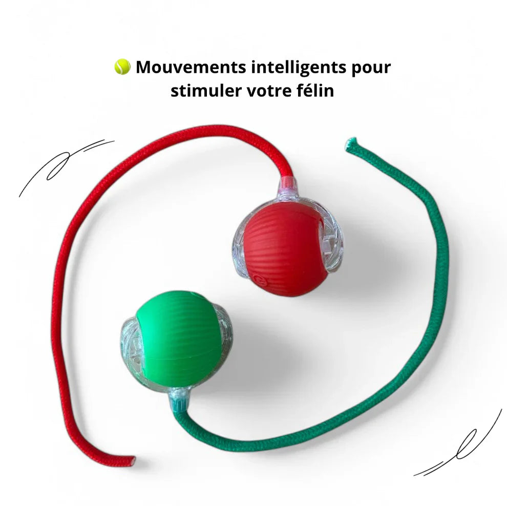 LumiBall™ – La balle lumineuse qui amuse votre chat