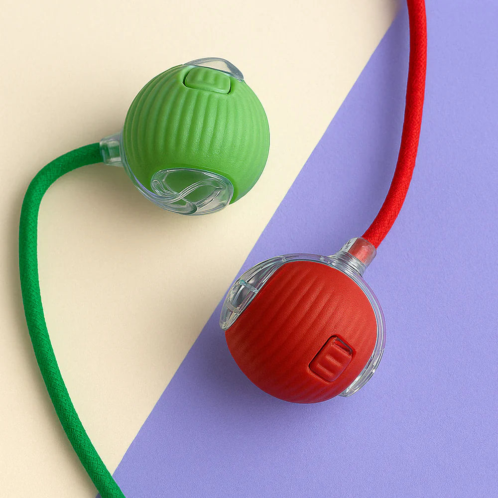 LumiBall™ – La balle lumineuse qui amuse votre chat