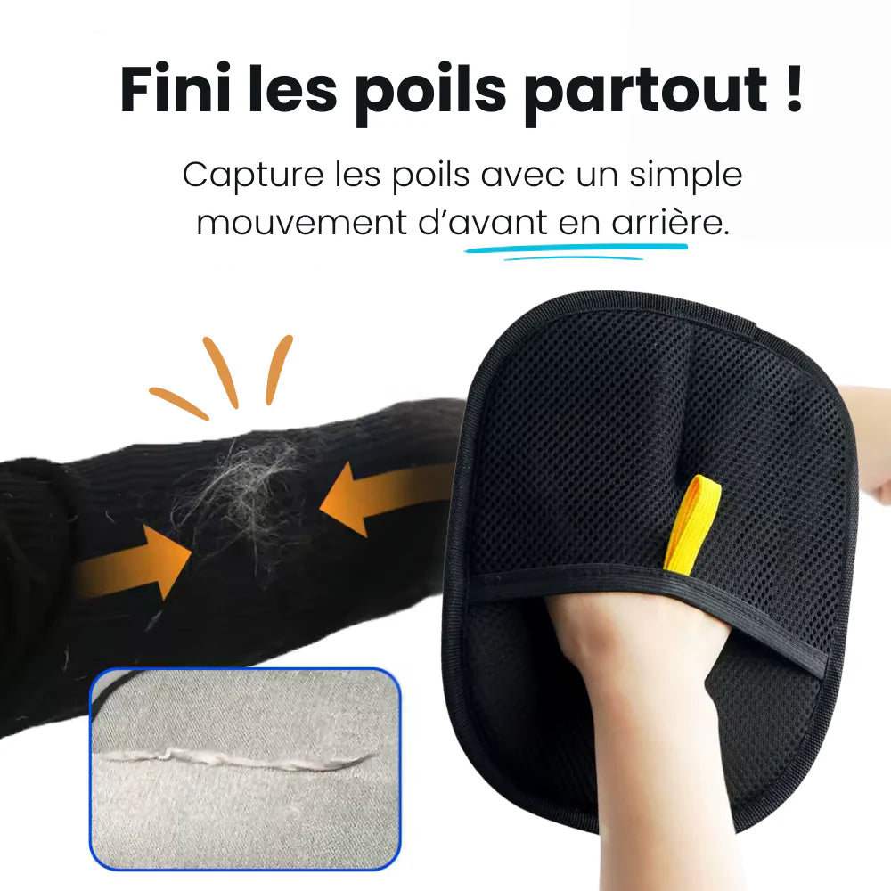 Gant de Toilettage révolutionnaire