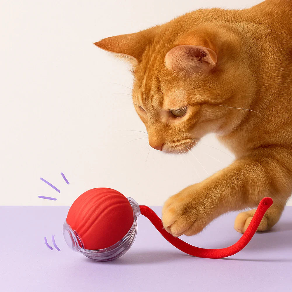 LumiBall™ – La balle lumineuse qui amuse votre chat