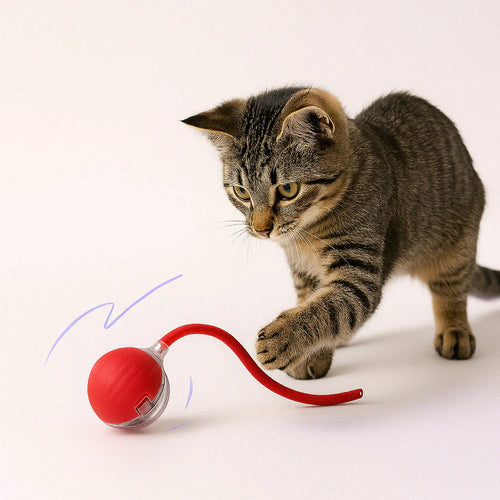 LumiBall™ – La balle lumineuse qui amuse votre chat