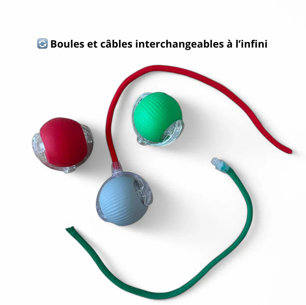 LumiBall™ – La balle lumineuse qui amuse votre chat