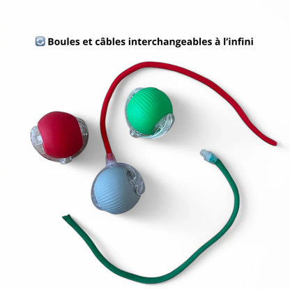 LumiBall™ – La balle lumineuse qui amuse votre chat