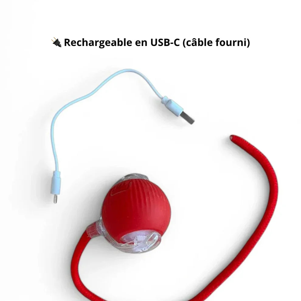 LumiBall™ – La balle lumineuse qui amuse votre chat